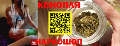 мдма Можга