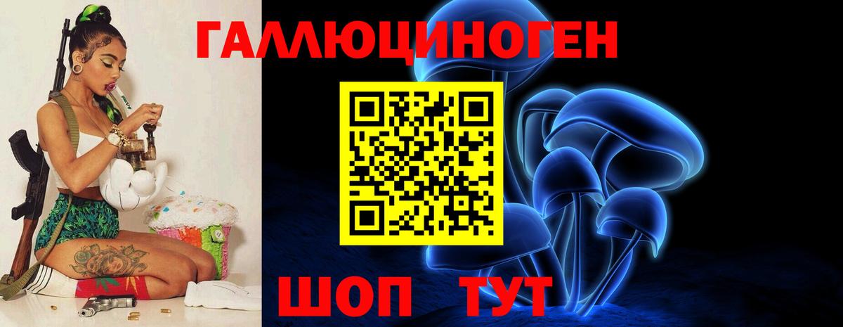 Псилоцибиновые грибы мицелий  Вход с VPN  Сунжа 